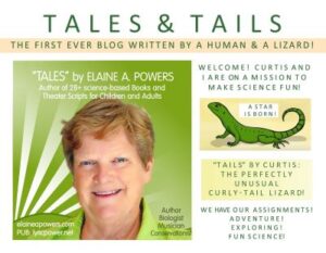 graphic image of Elaine Powers for blog