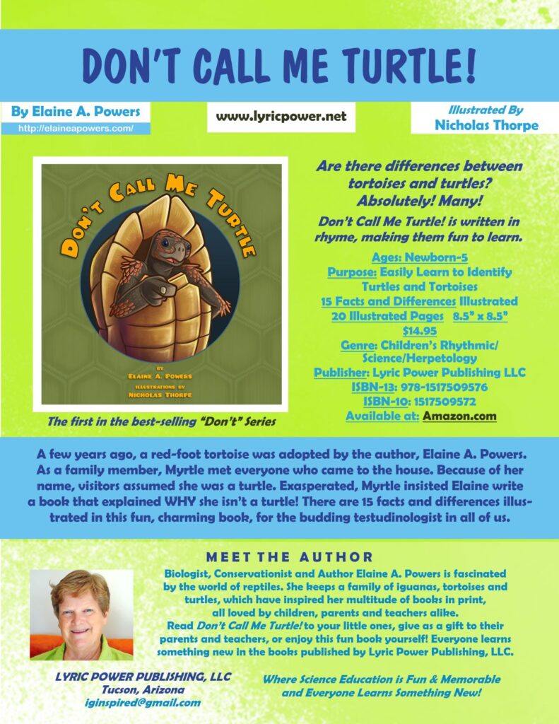infographic for children's book Don't Call Me Turtle!