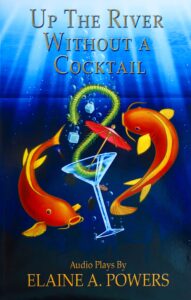 a book cover of an audio/radio script